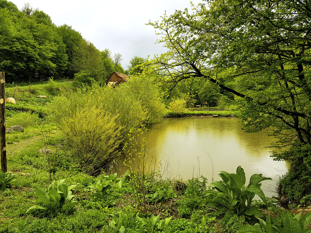 Dilijan National Park Ecokayan Ponds, Dilijan, Armenia - Photo - Ecokayan